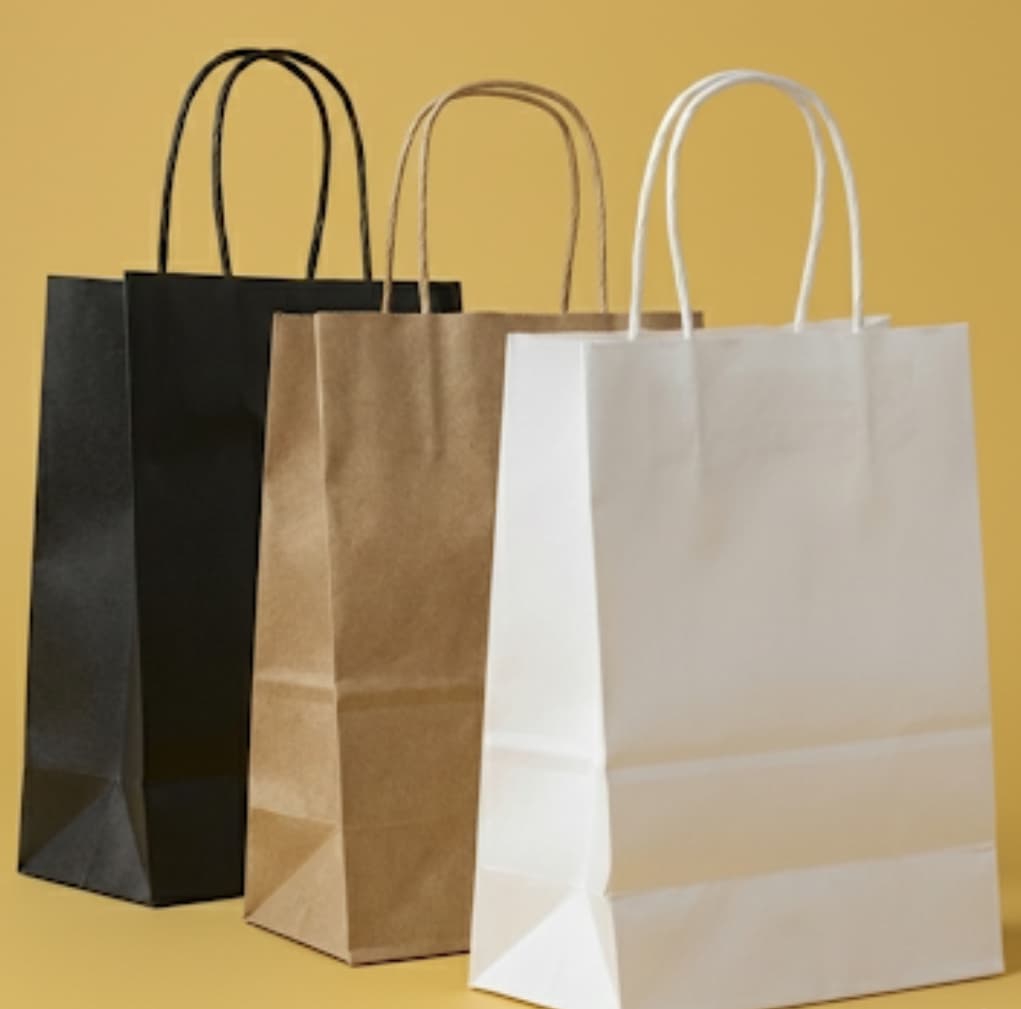 Kraft paper bags — wholesale bags (230)